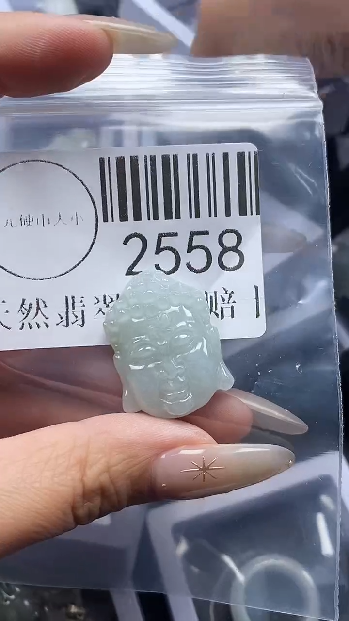 颈饰未镶嵌翡翠2558