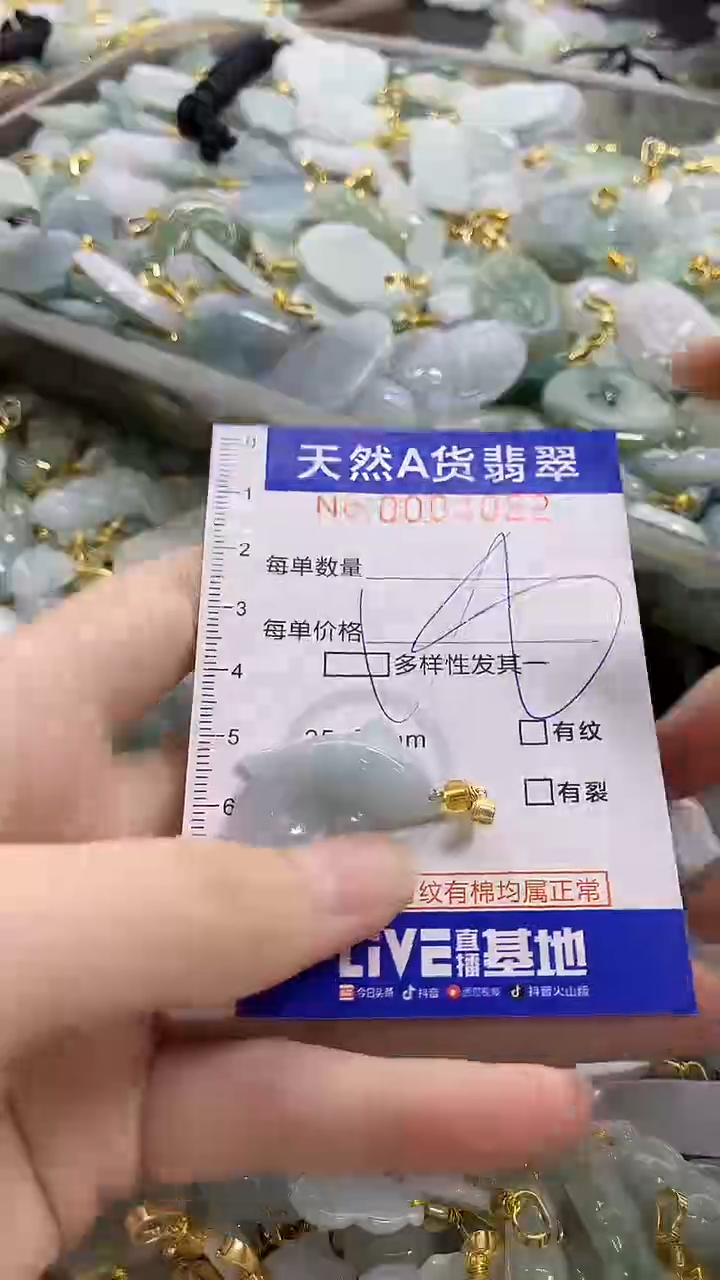 颈饰未镶嵌翡翠天然A货翡翠