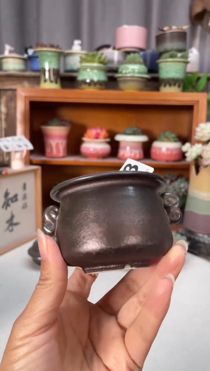 瓷片233知木小芳花盆