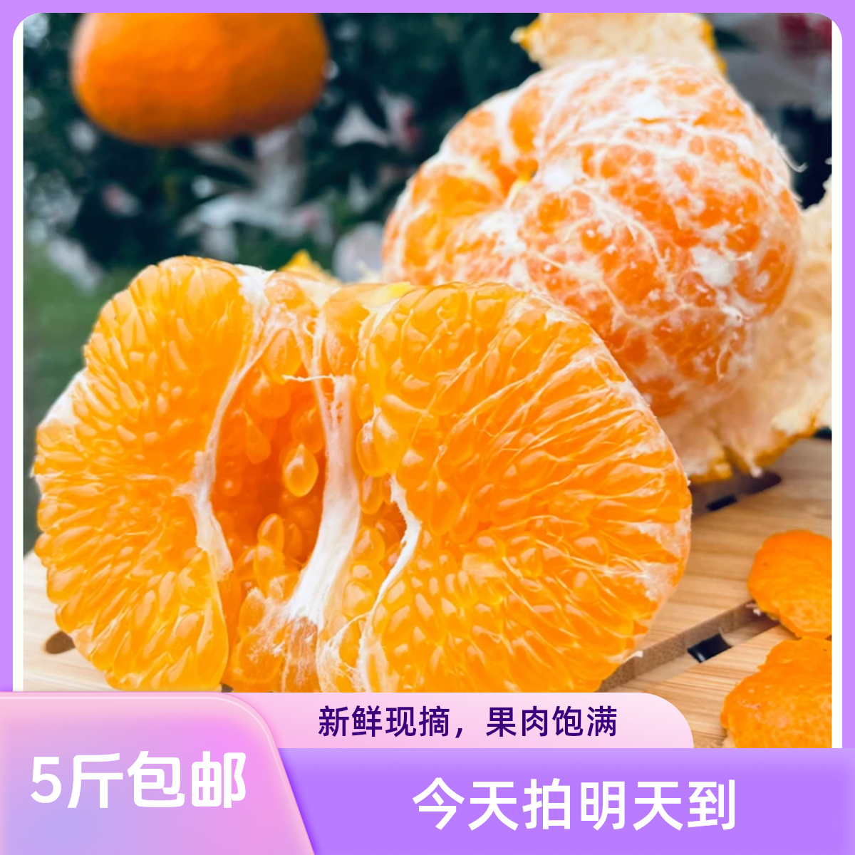 内蒙古包邮今天拍明天到（小果净重4.5斤）四川耙耙柑彩箱顺丰包邮 