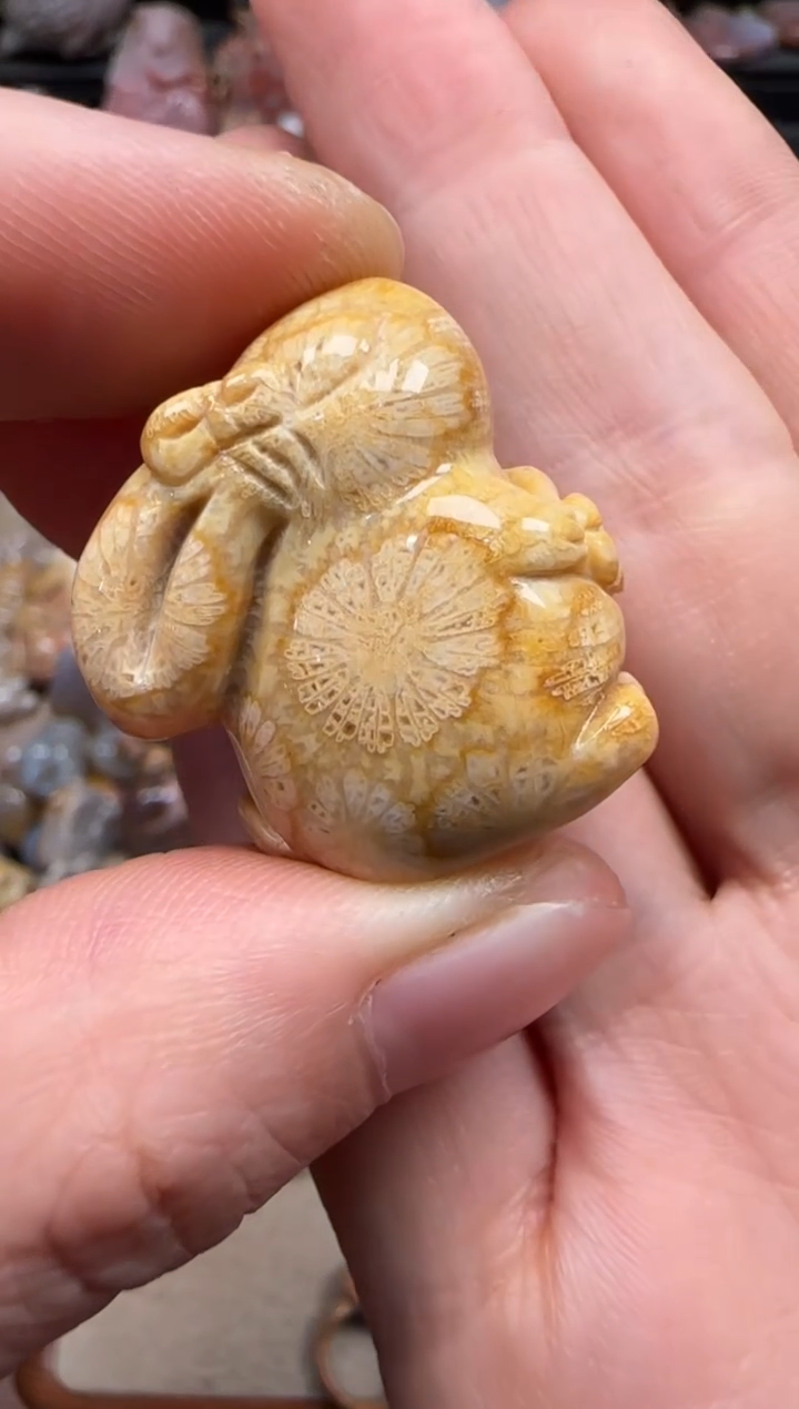 【闪购商品】硅化珊瑚（珊瑚玉）颈饰未镶嵌760