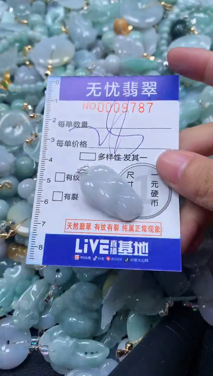 颈饰未镶嵌翡翠9787