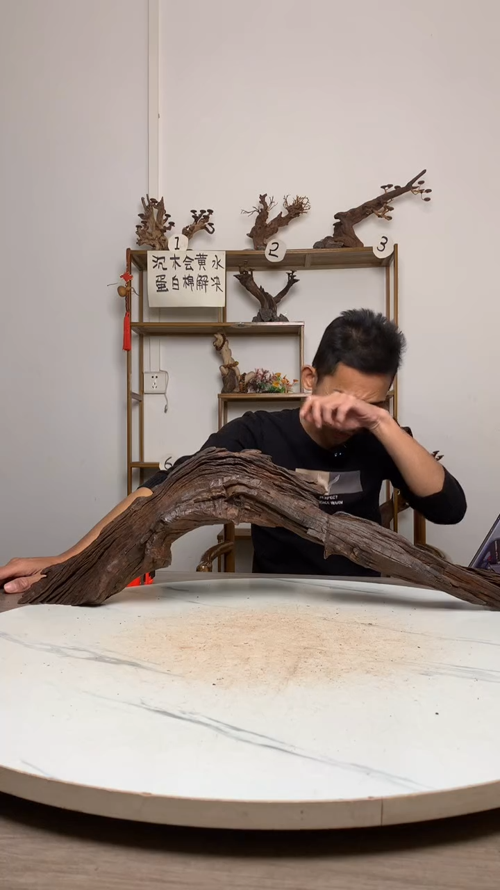 韬****常鱼缸造景沉木摆件