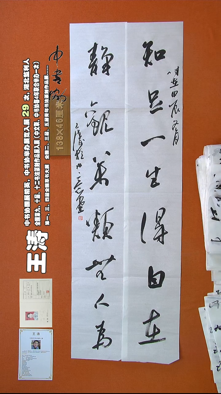 【闪购商品】书法399王涛书法作品