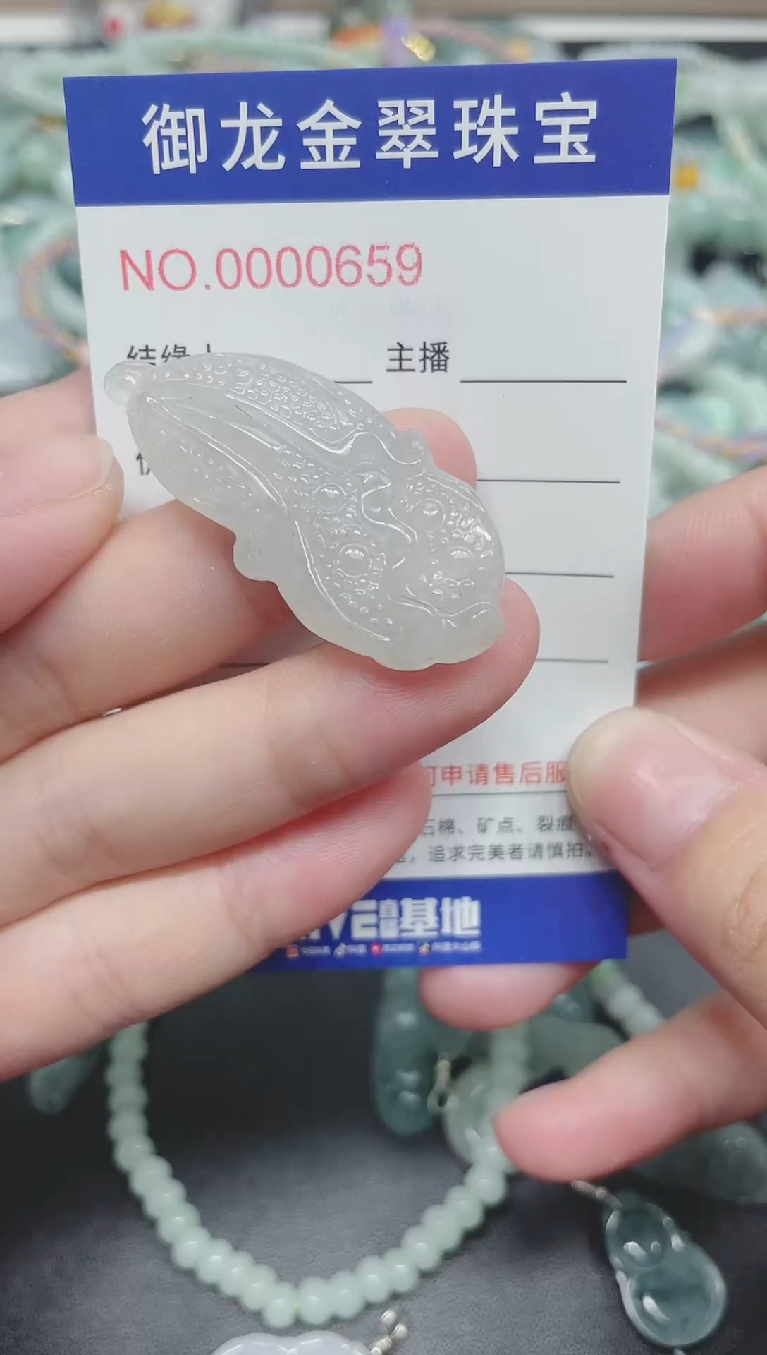翡翠未镶嵌颈饰098