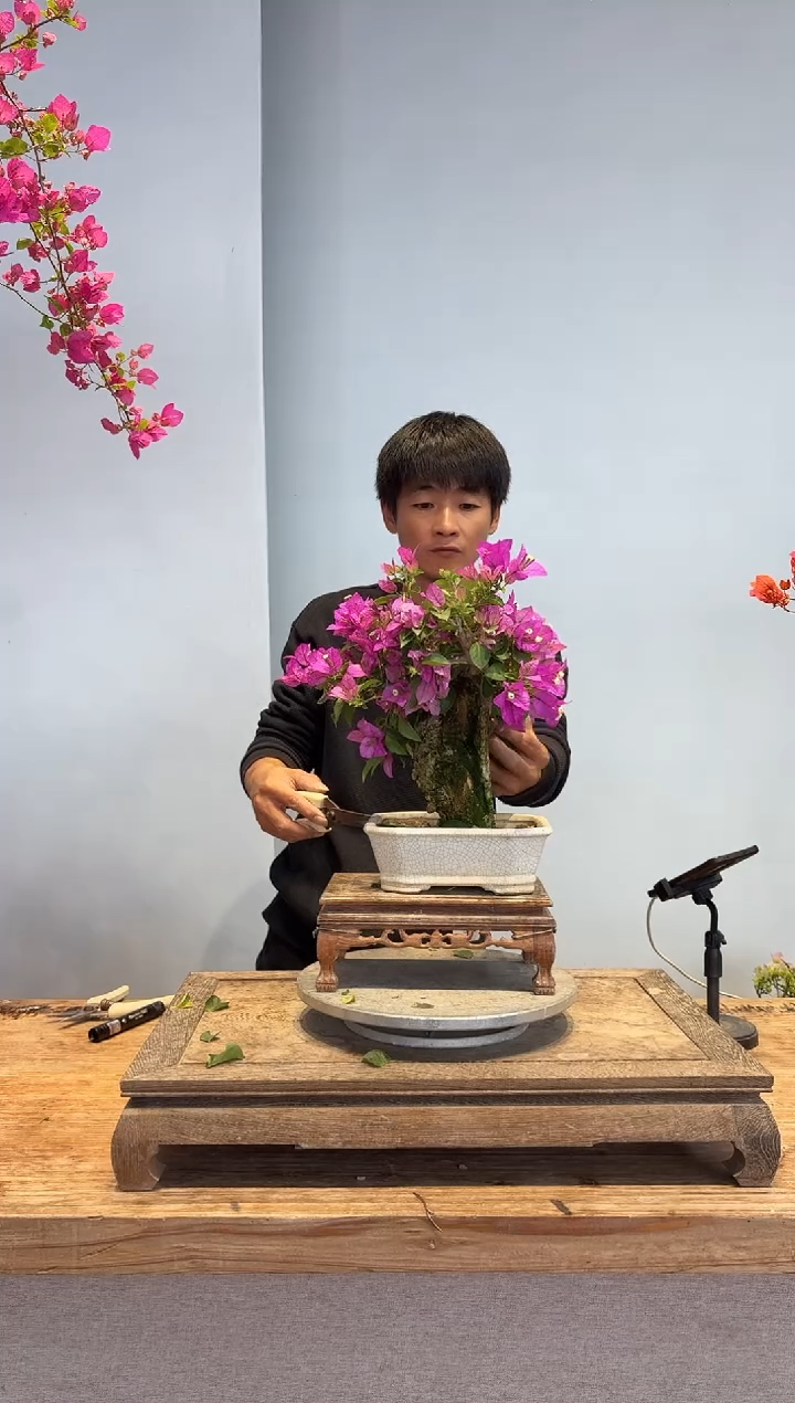 以实际为准爱***活三角梅3