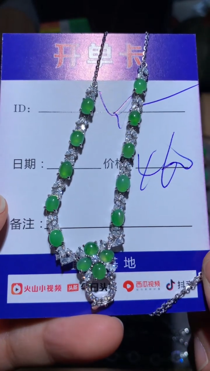 【闪购商品】翡翠颈饰银S925镶嵌 Y...........m