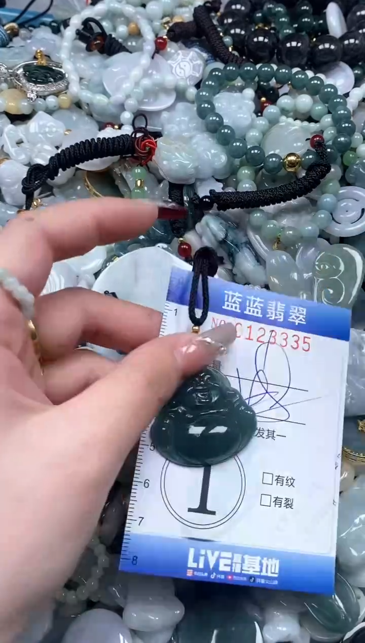 【闪购商品】翡翠颈饰未镶嵌闪购0123335多样性发其一