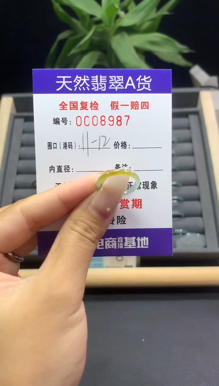 未镶嵌戒指翡翠天然  8987