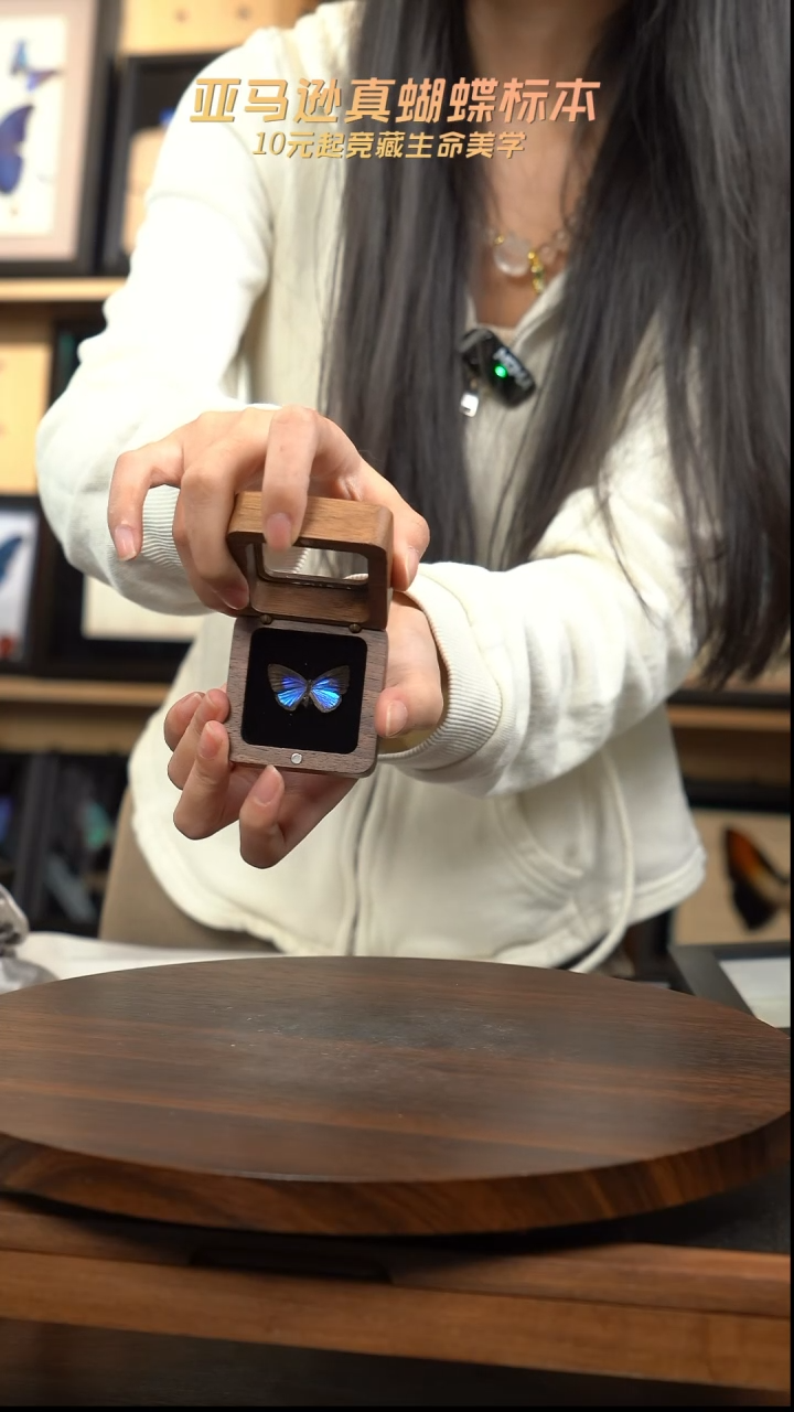 雅灰蝶胡桃木款 