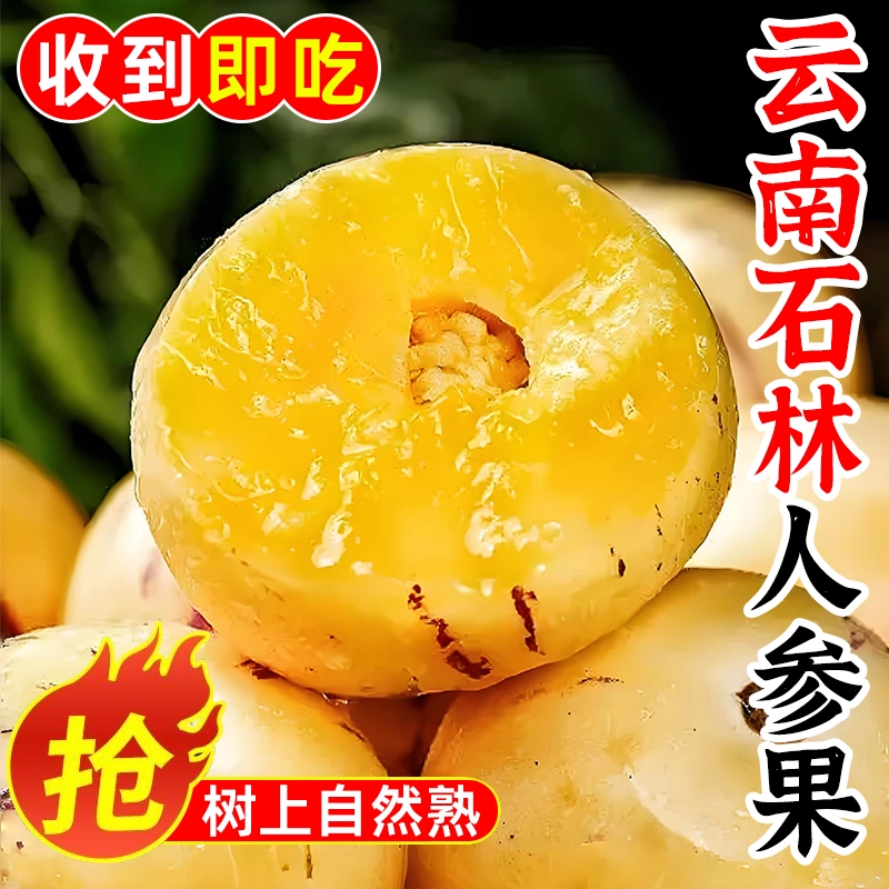 云南石林人参果高山牛奶蜜味清甜爽口果肉细腻新鲜水果自然熟YYyx