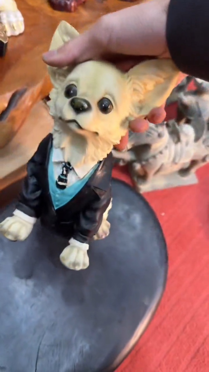 茶盏8888888888     836