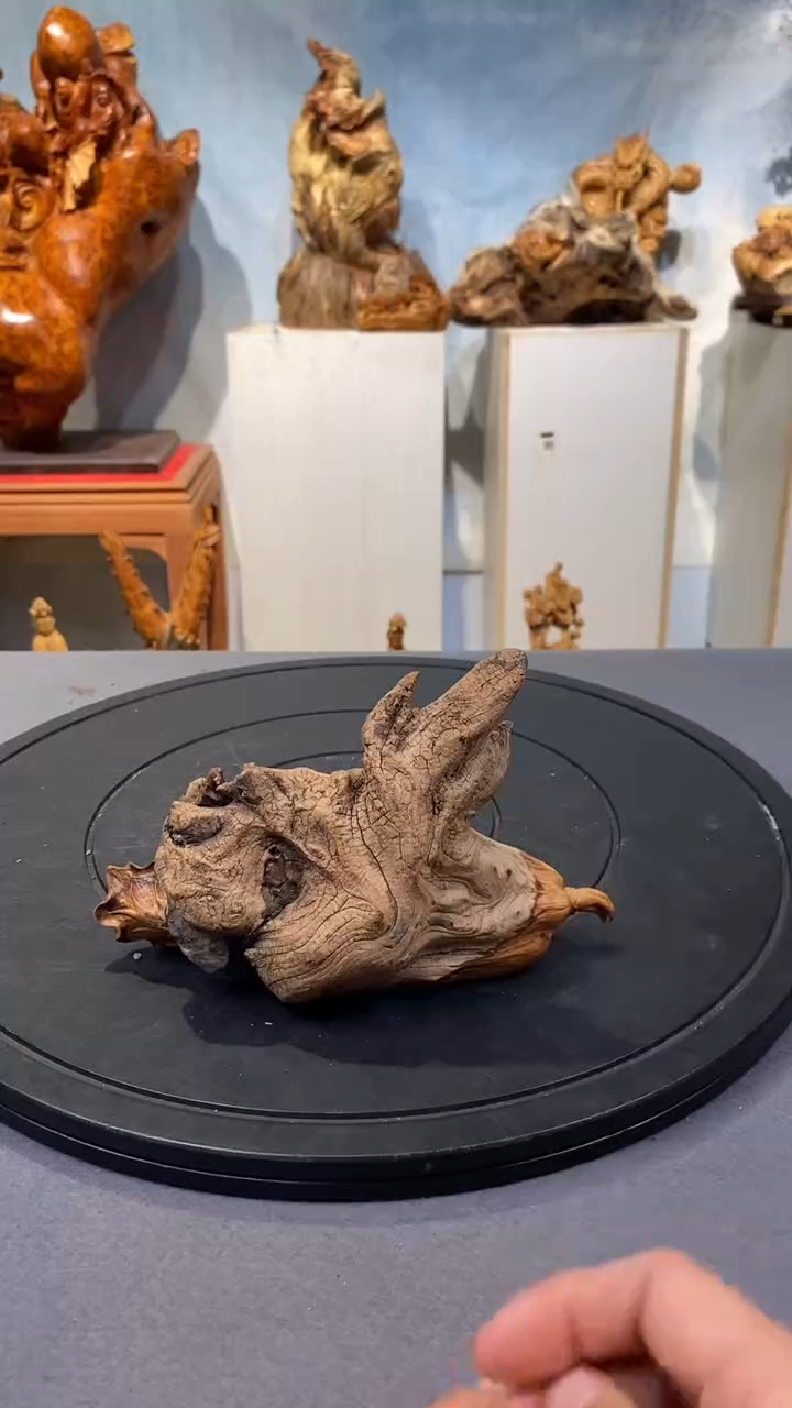 【闪购商品】柏木（崖柏）崖柏