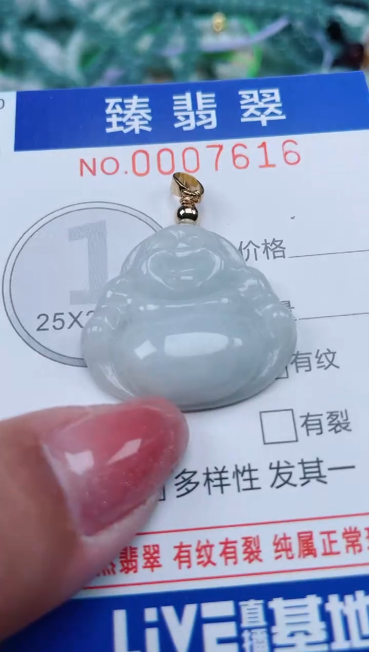 【闪购商品】翡翠颈饰未镶嵌.0007616