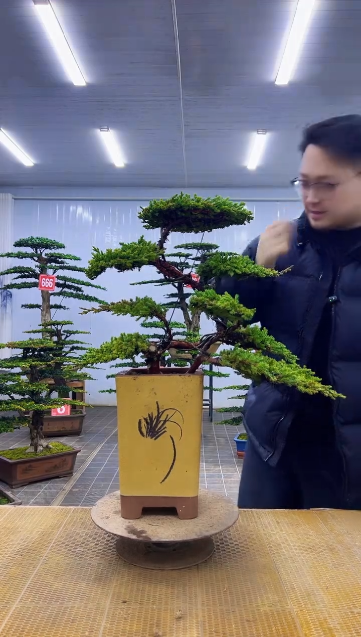 无花朵000000000000000