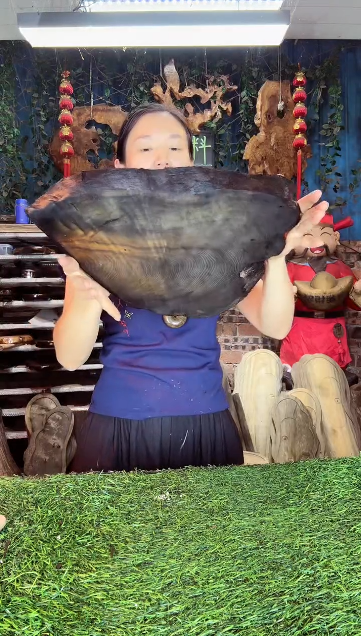 金丝楠小叶桢楠40