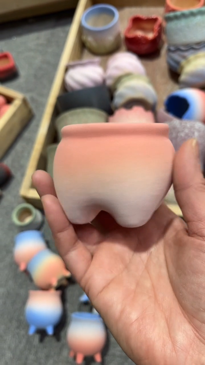 【闪购商品】红陶555