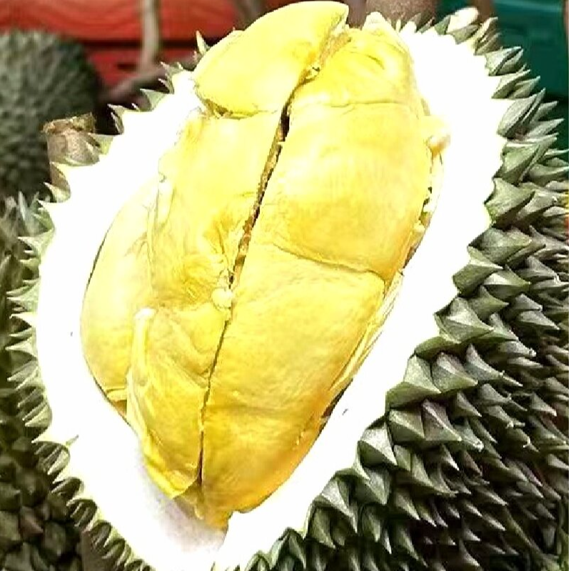 炸福利19.9元1斤新鲜金枕榴莲A果一果一拍核小，生包死包夹生无味包售后，现场开果离店不负责金枕泰国