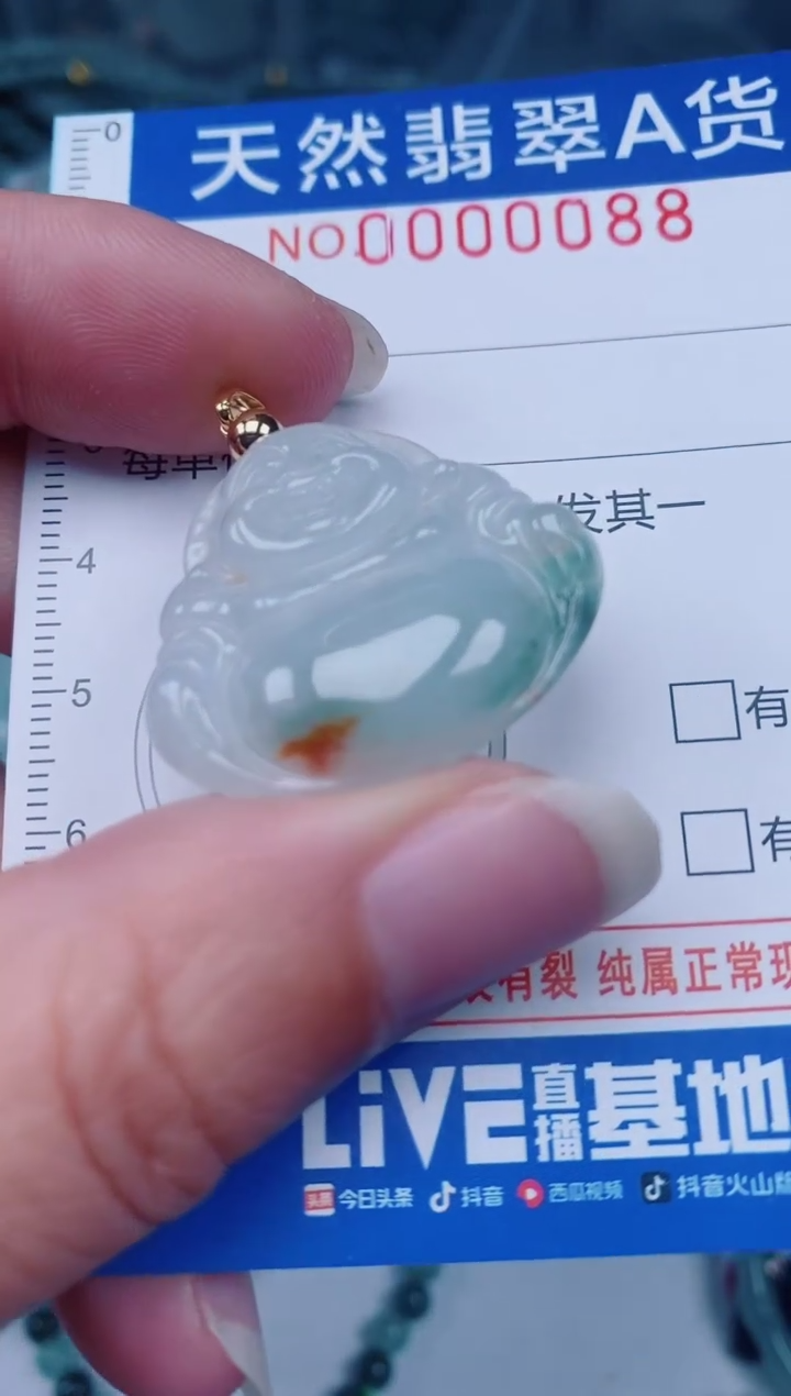 颈饰未镶嵌翡翠00000088