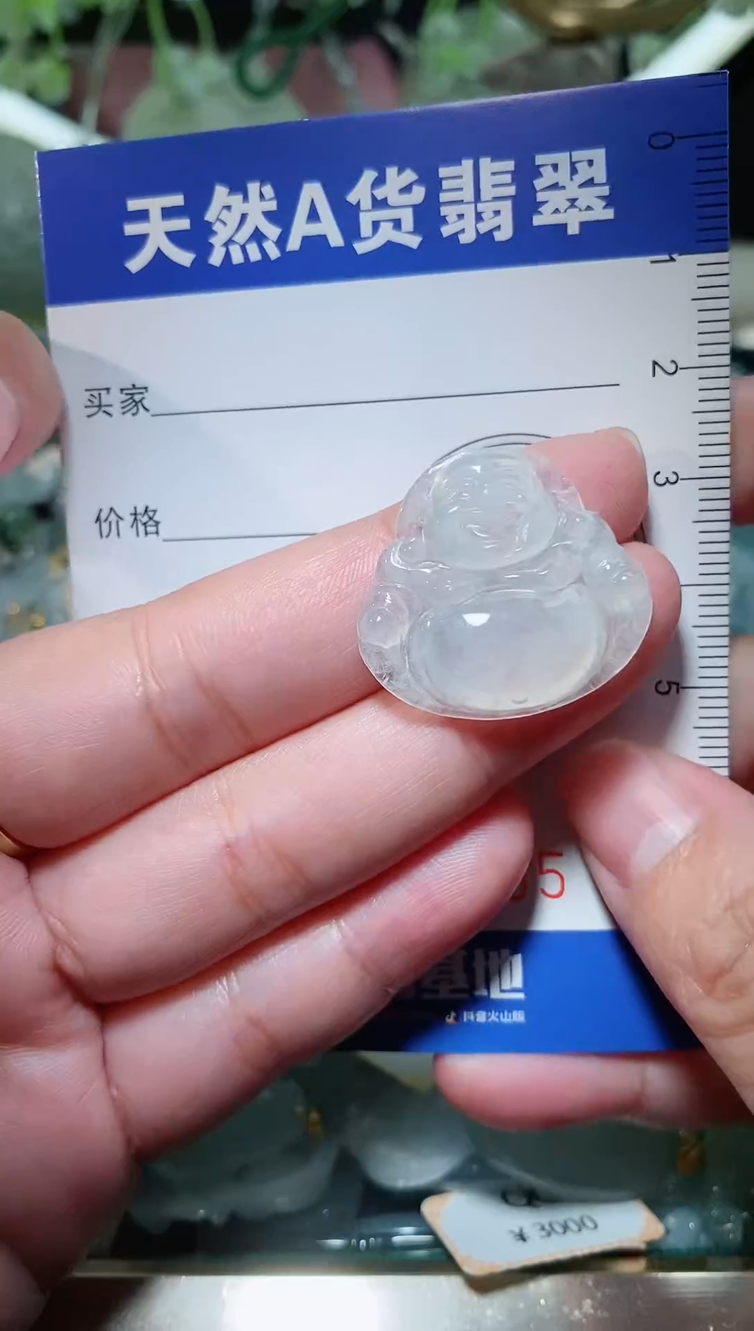 【闪购商品】翡翠颈饰未镶嵌 天然A货翡翠一件