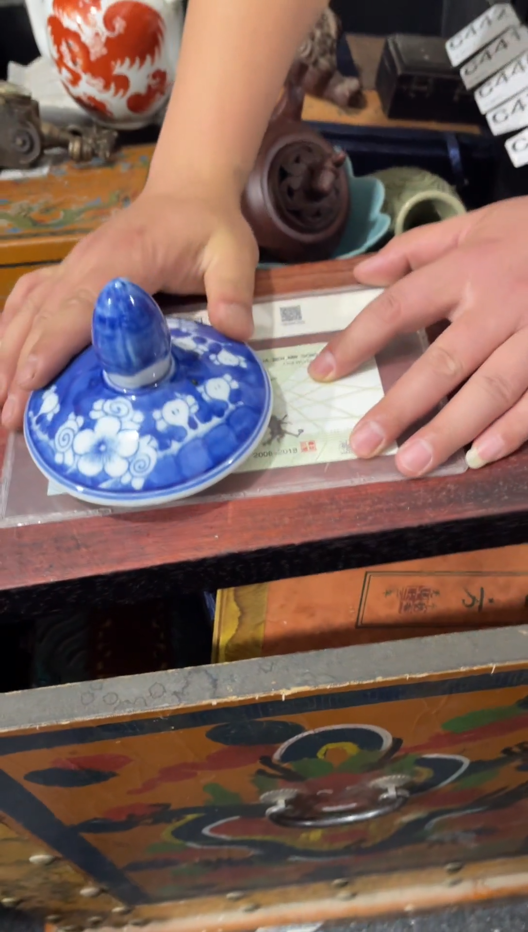 瓷片主播推荐精选好物