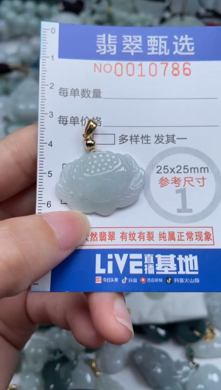 颈饰未镶嵌翡翠10786