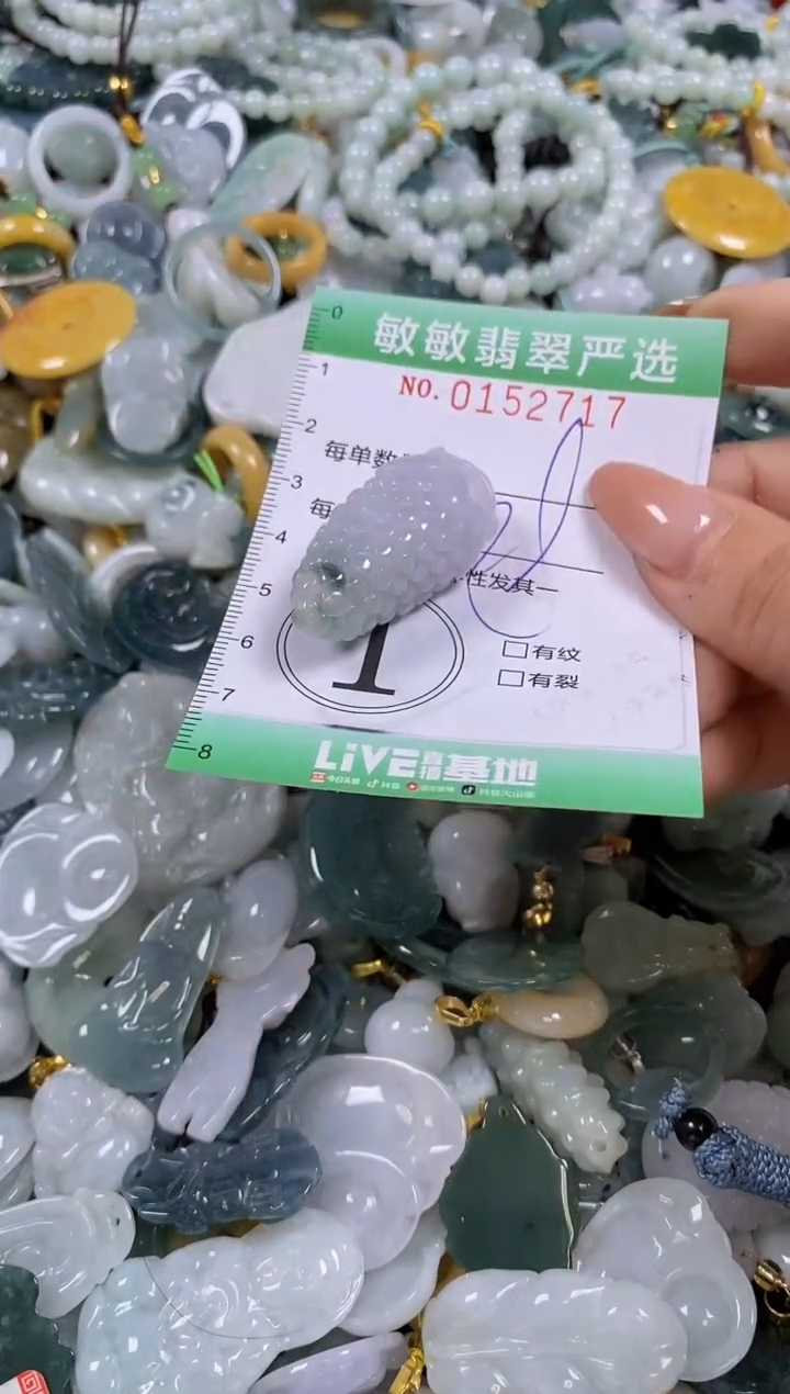 翡翠未镶嵌颈饰闪购0152717