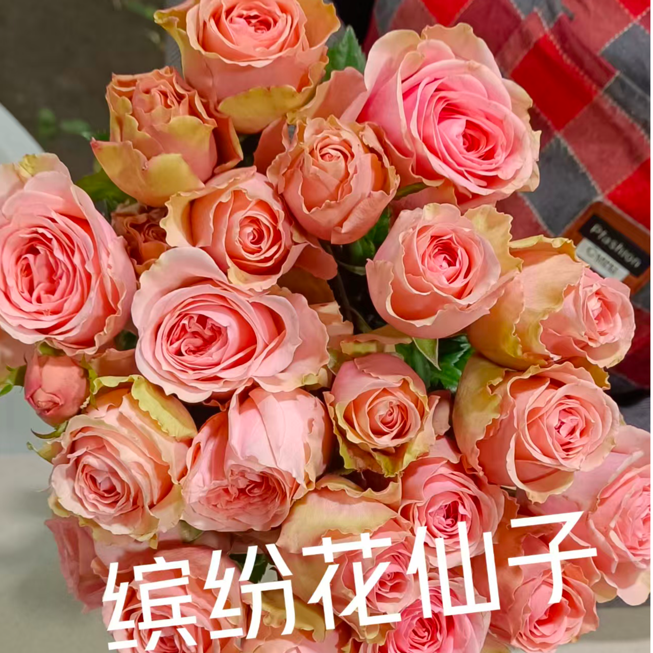 【买一送一】小头缤纷花仙子泡泡10支 多头玫瑰 云南基地鲜花  直发