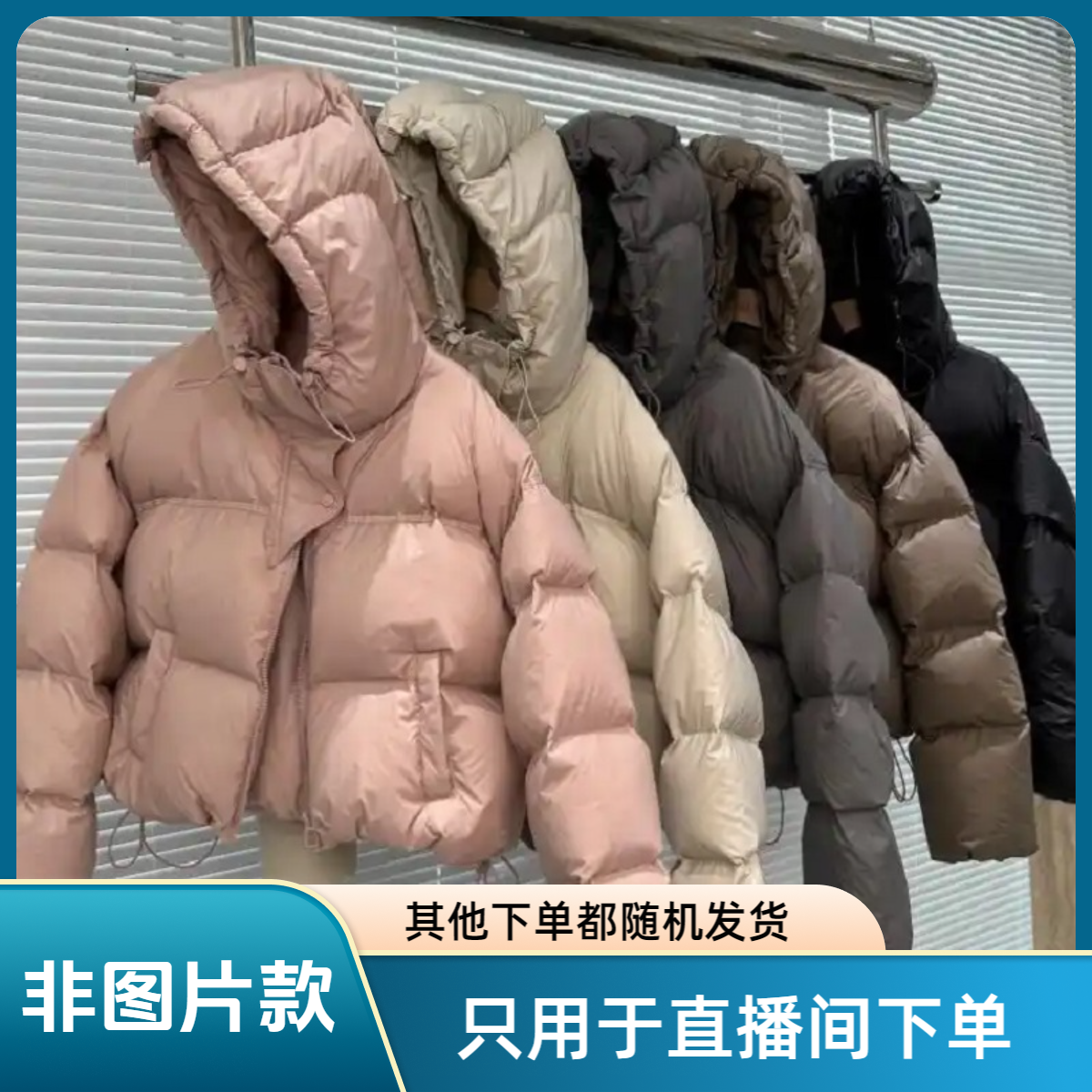 【清仓】冬季棉服百搭款（非图片款）