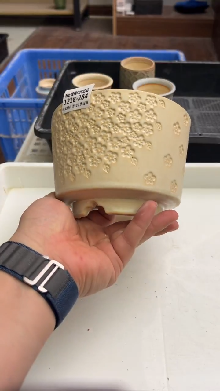 1218-286 内口 13 瑕疵福利 默认一只