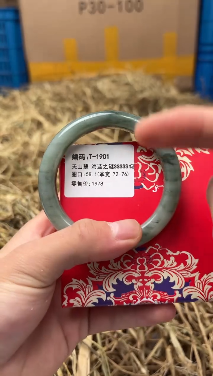 未镶嵌手镯石英质玉T-1901