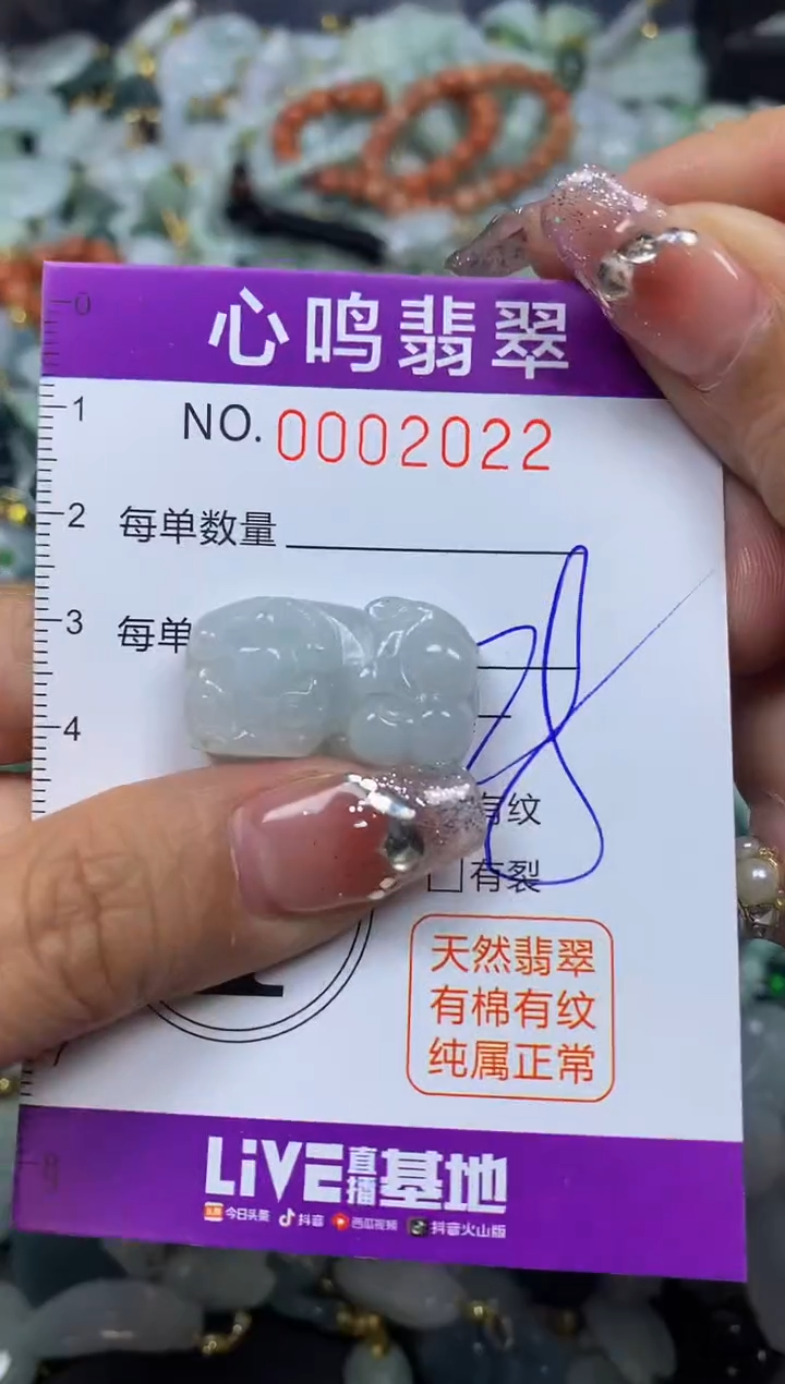 【闪购商品】翡翠颈饰未镶嵌闪购002022