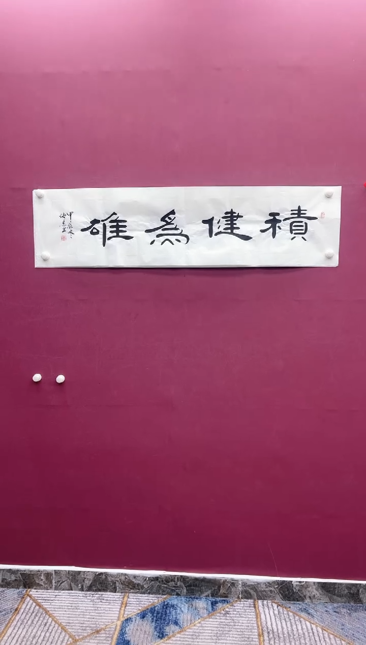 【闪购商品】书法积健书法作品