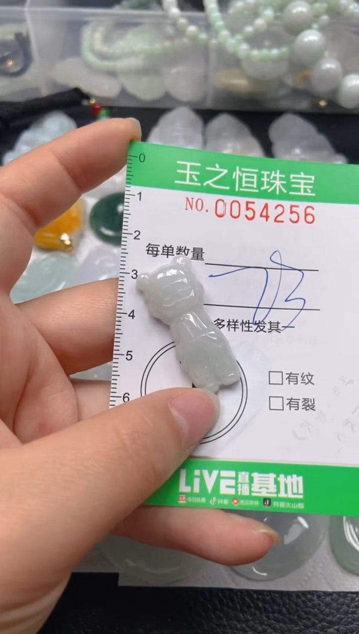 【闪购商品】翡翠未镶嵌颈饰闪购0054256