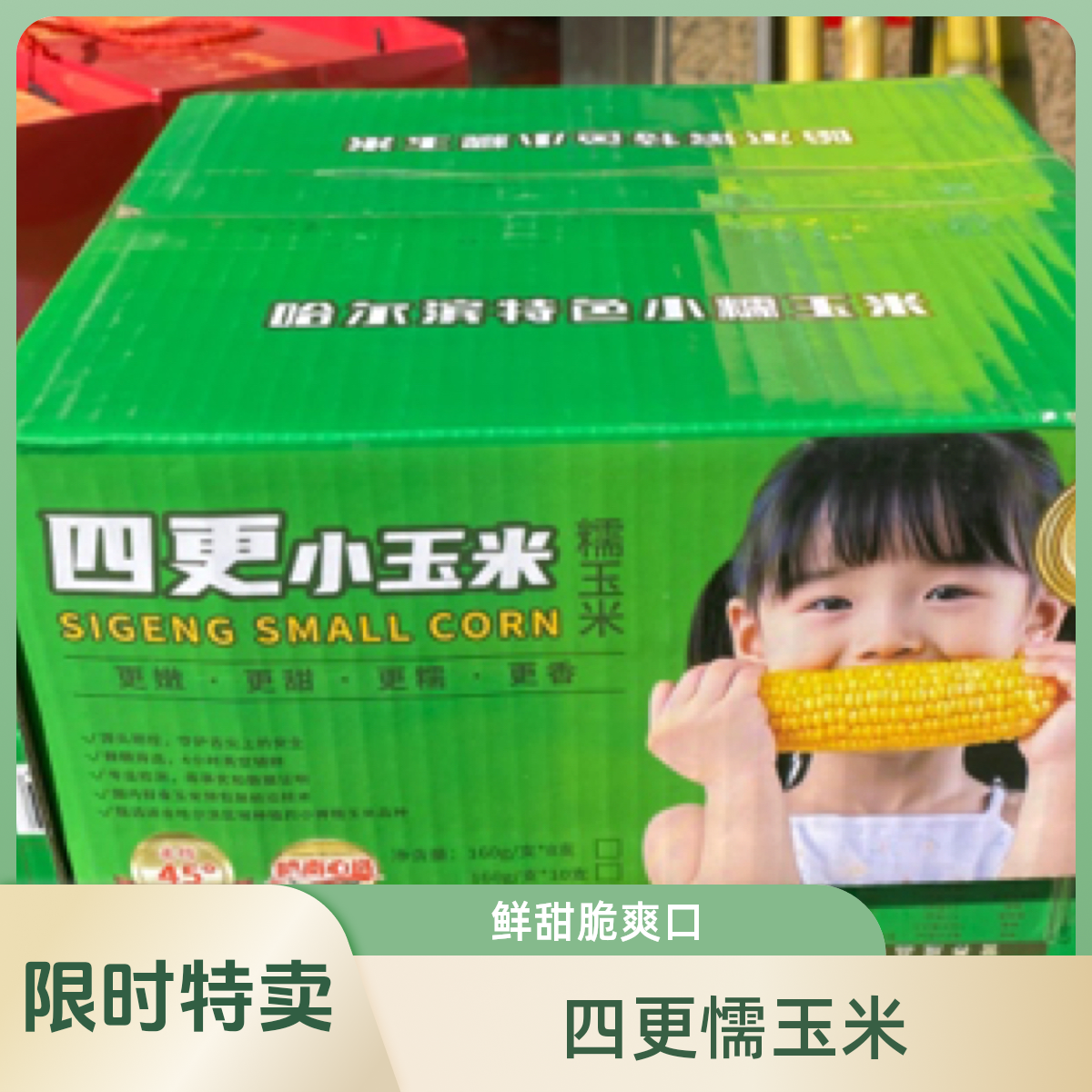 四更懦玉米一箱（8根）