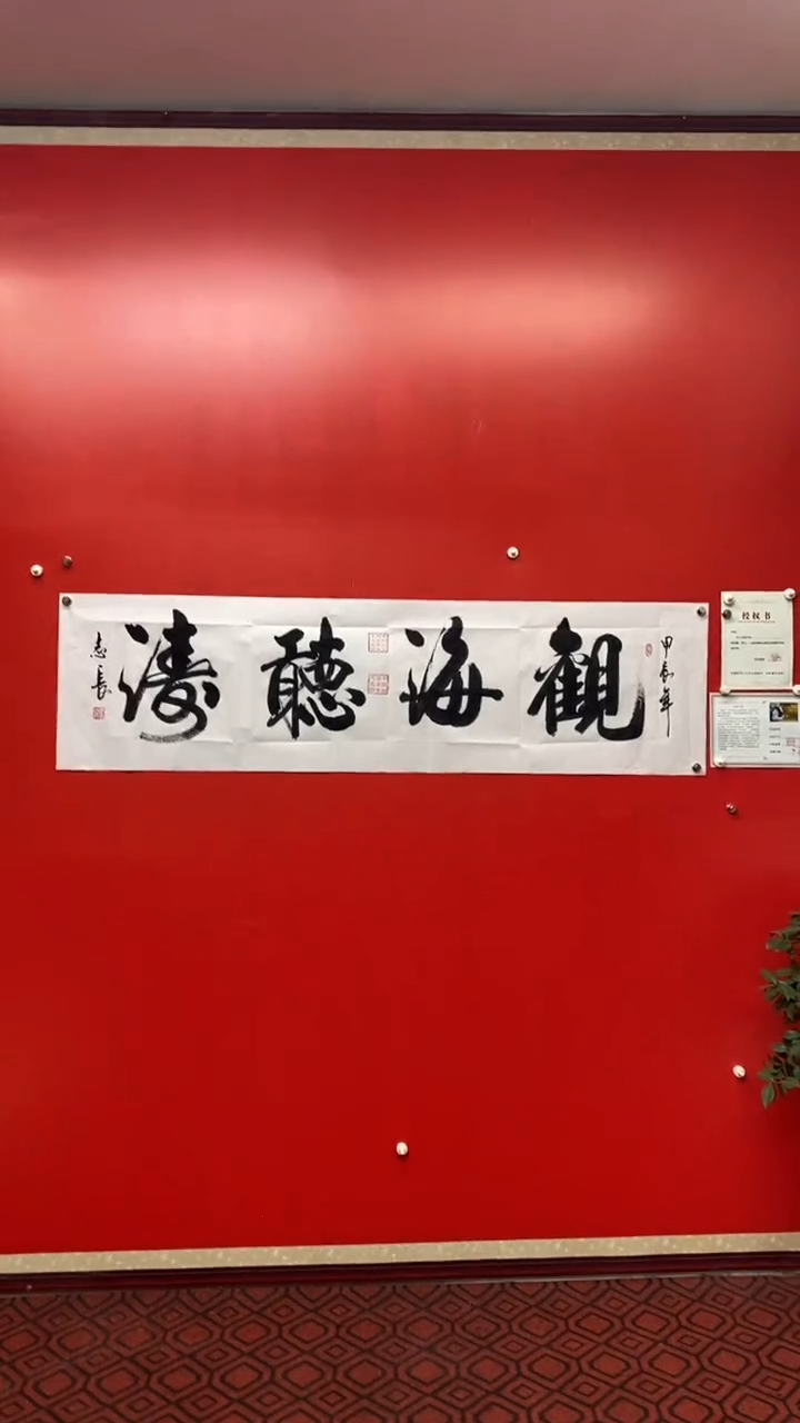 【闪购商品】书法观海听涛-李志长书法
