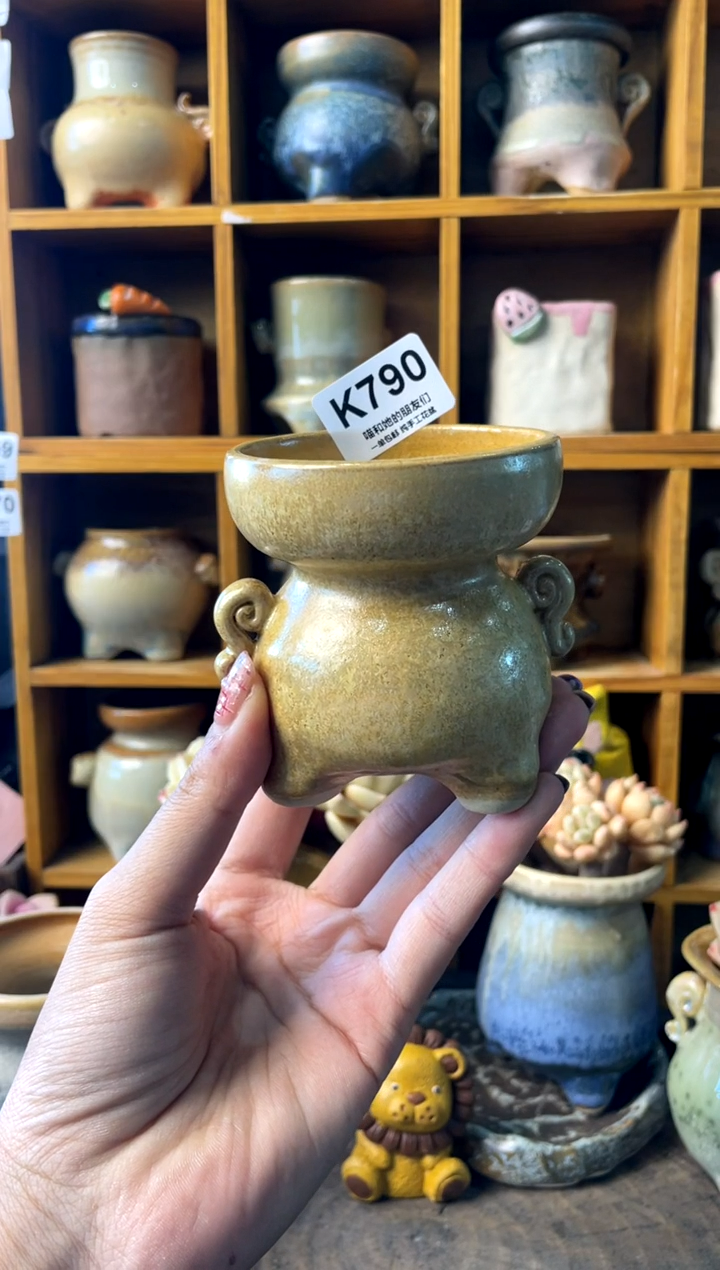 790内口6【多肉花盆多肉盆】1