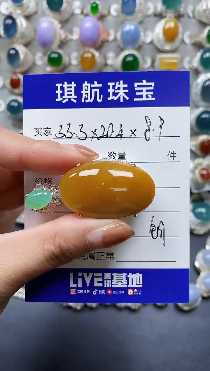 【闪购商品】翡翠颈饰未镶嵌00000083