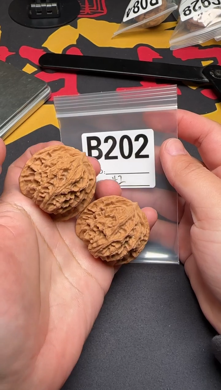 吊坠文玩核桃秦皇帽42-B202