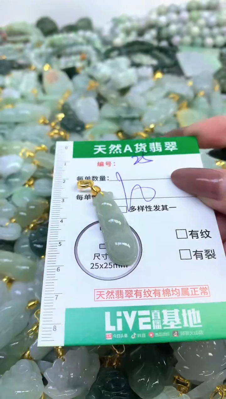 颈饰未镶嵌翡翠纯天然缅甸A货翡翠