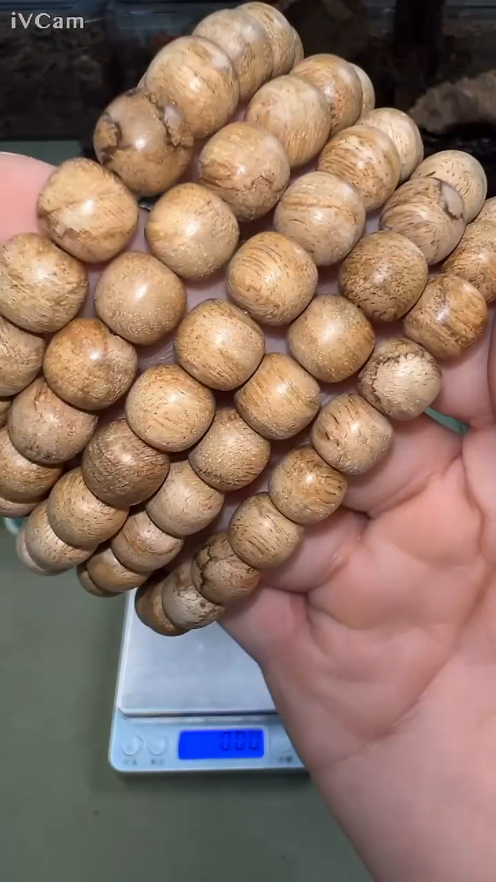 柬埔寨土熟苹果珠单圈多样性发其一