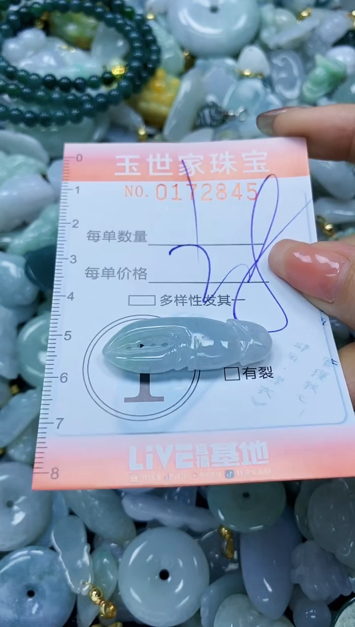 【闪购商品】翡翠颈饰未镶嵌闪购0172845