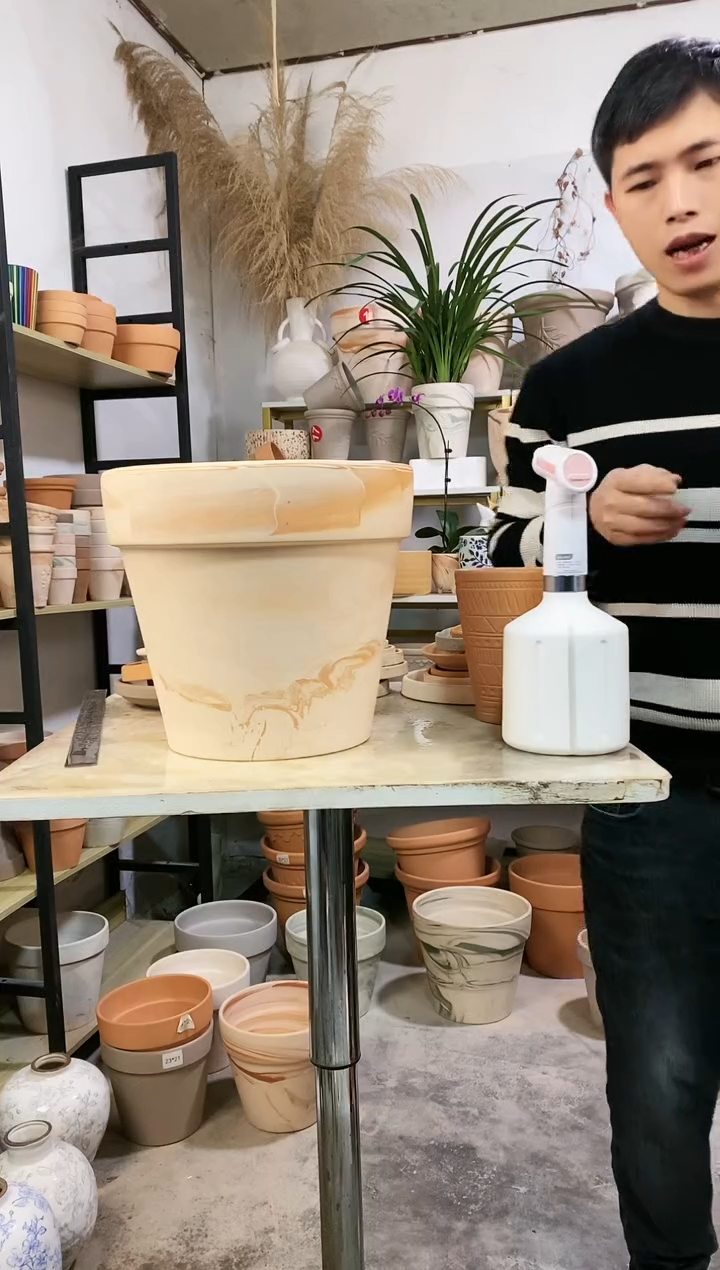 【闪购商品】红陶31*28玛奇朵 1盆无托