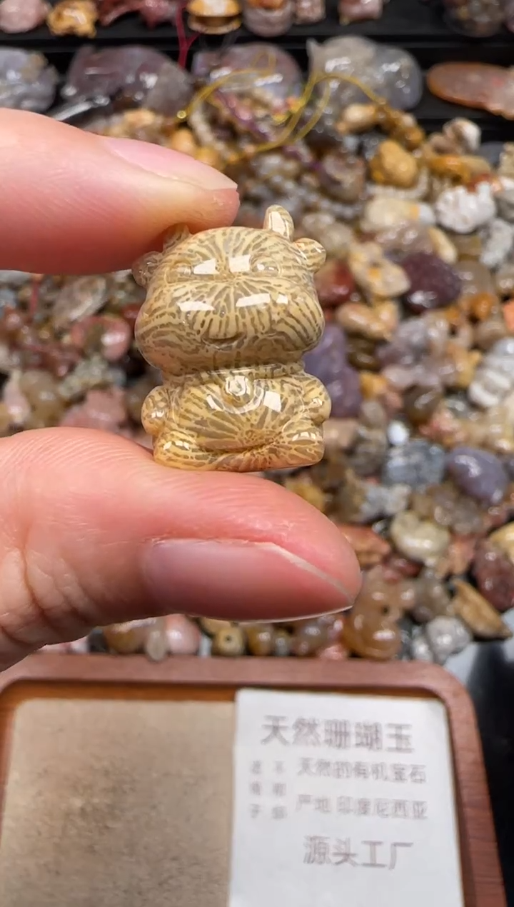 硅化珊瑚（珊瑚玉）未镶嵌颈饰162