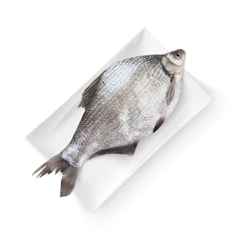 鳊鱼1条/约650g±100g（默认宰杀 重量为宰杀前）