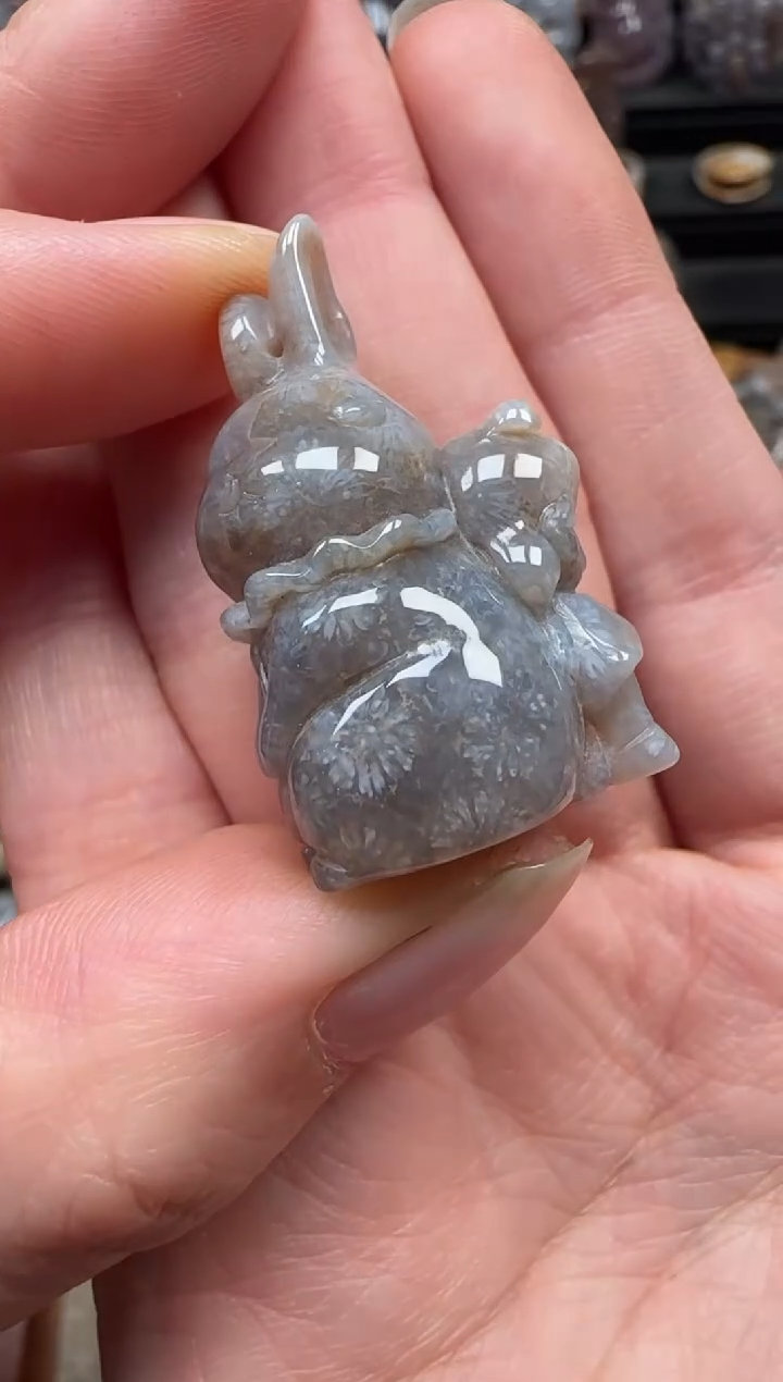 颈饰未镶嵌硅化珊瑚（珊瑚玉）211