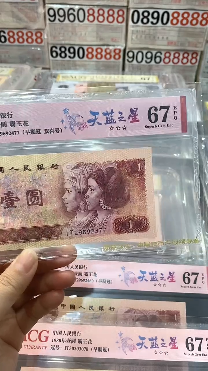 【闪购商品】801IT天蓝之星29692477