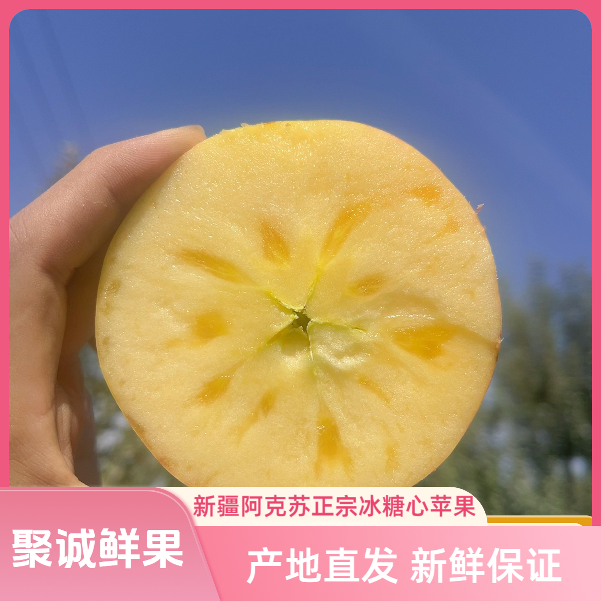 【聚诚鲜果】新疆阿克苏冰糖心苹果正宗冰糖心苹果产地直发新疆苹果