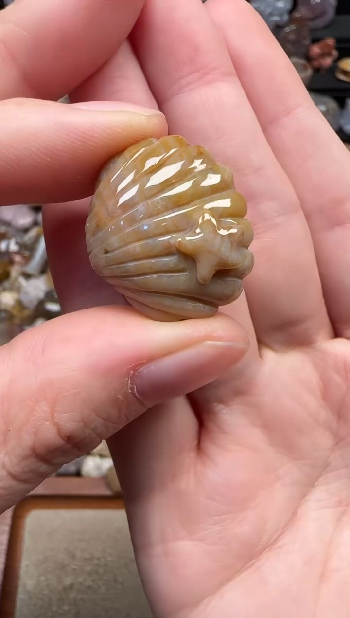 颈饰未镶嵌硅化珊瑚（珊瑚玉）477