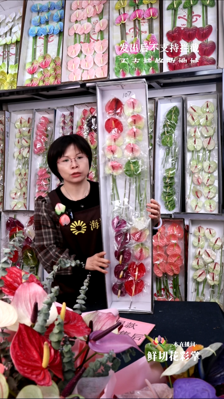 完全开放爱****月混色20支迷你无售后款107